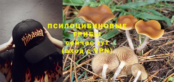 дживик Беломорск