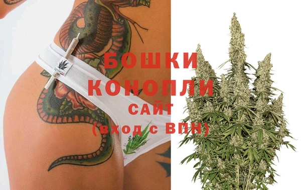 амф Белокуриха