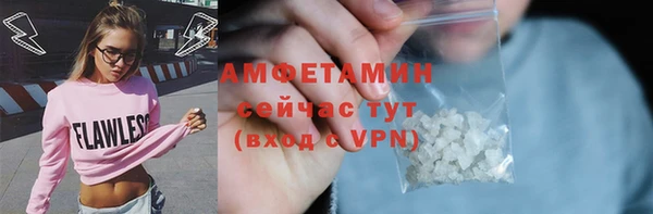 метадон Богданович