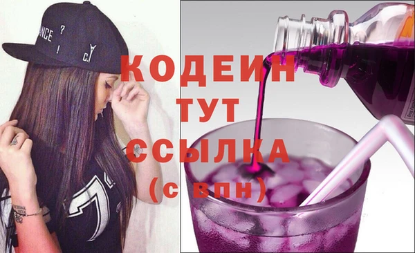 метадон Богданович